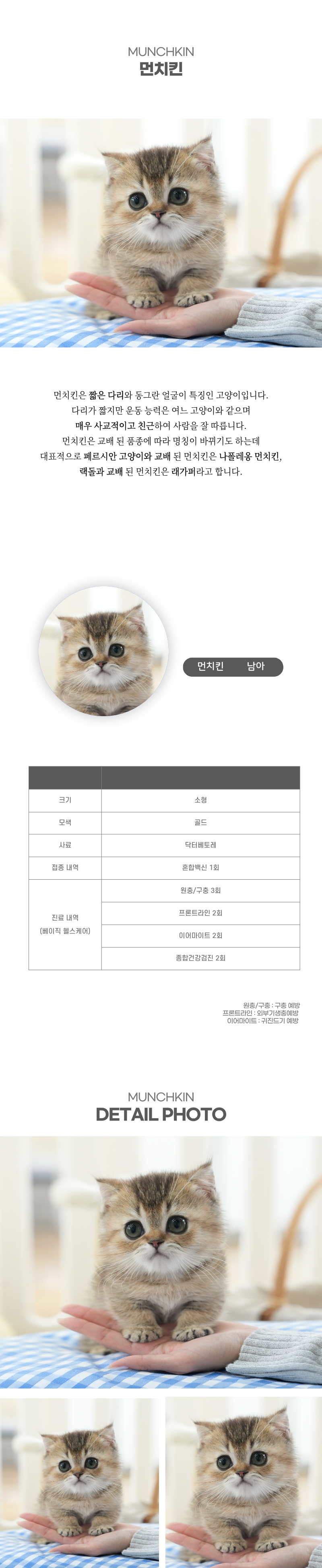 먼치킨_상세이미지_2